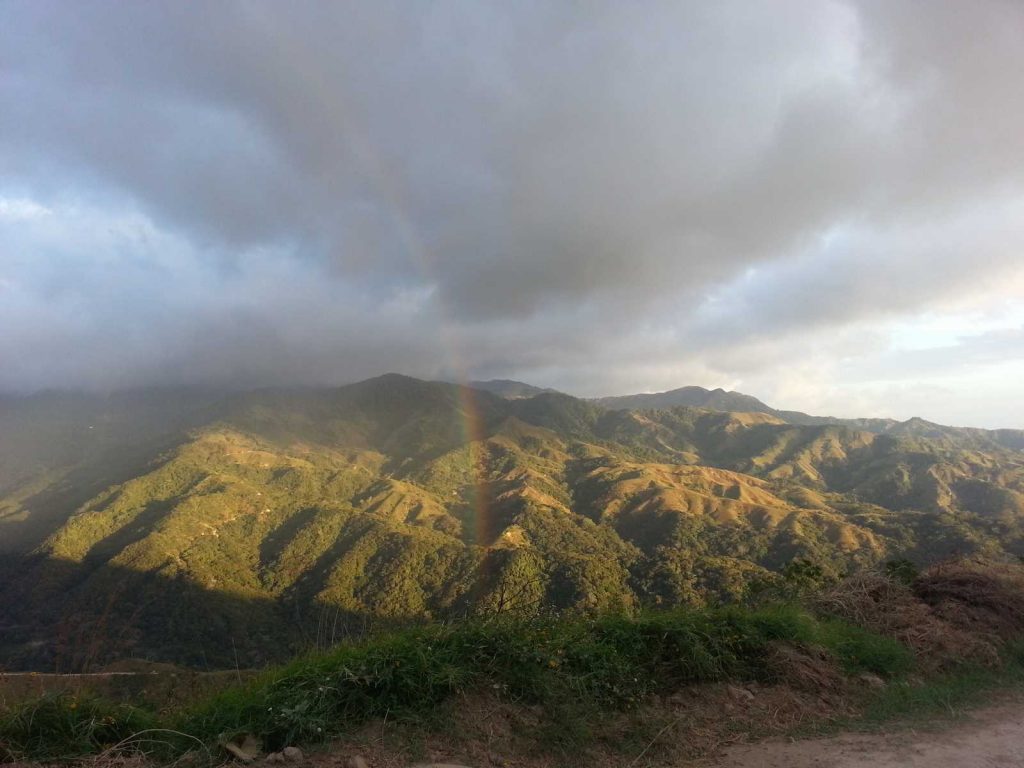 MONTEVERDE RAINFOREST TOUR