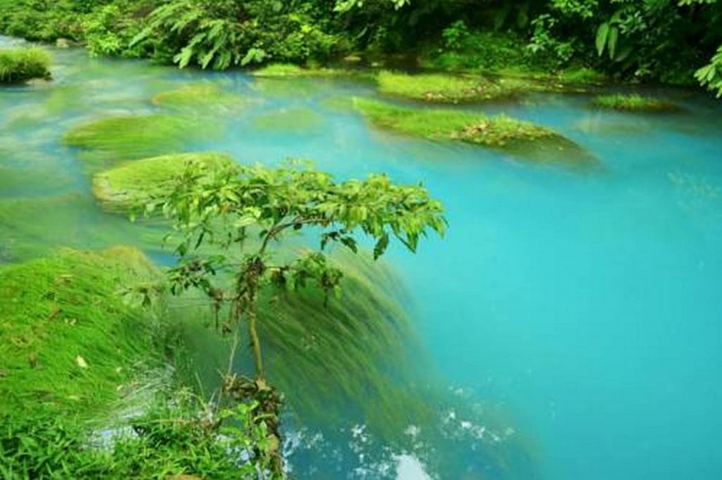 RÍO CELESTE HIKING TOUR