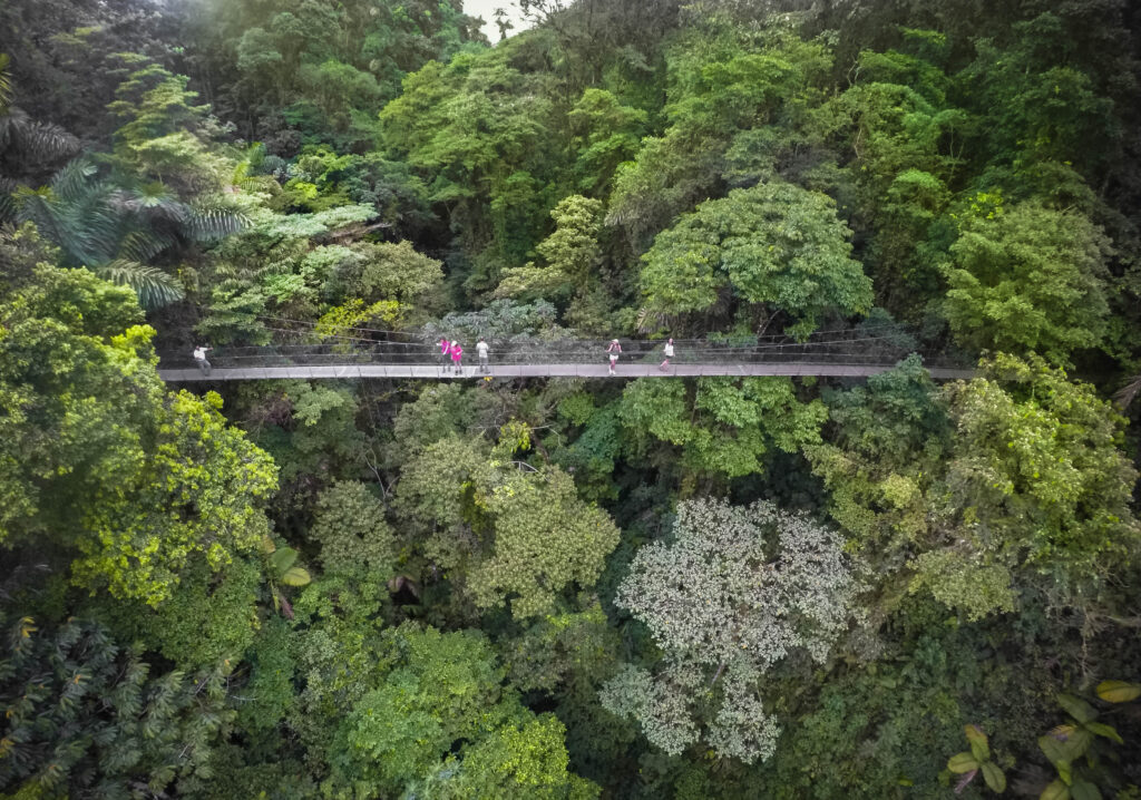 ARENAL VOLCANO TOUR