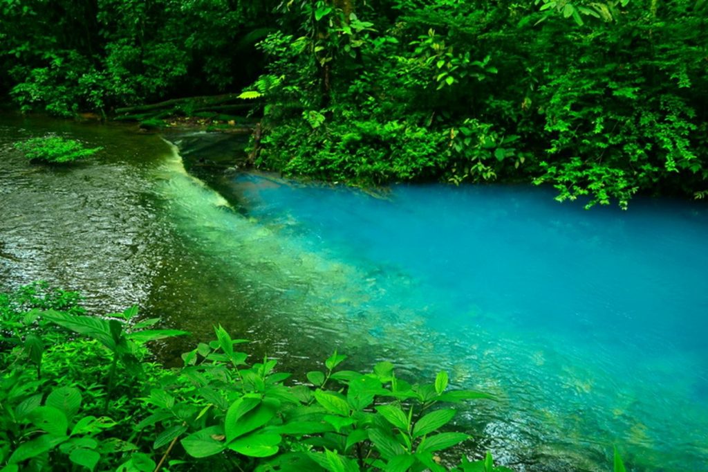 RÍO CELESTE HIKING TOUR