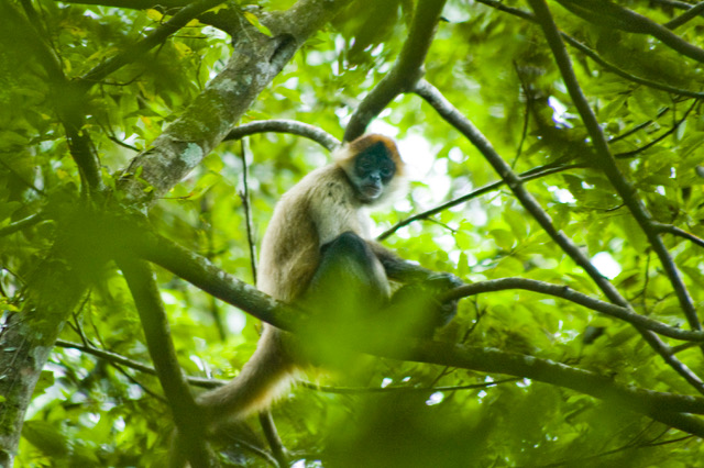 RINCON DE LA VIEJA NATIONAL PARK TOUR