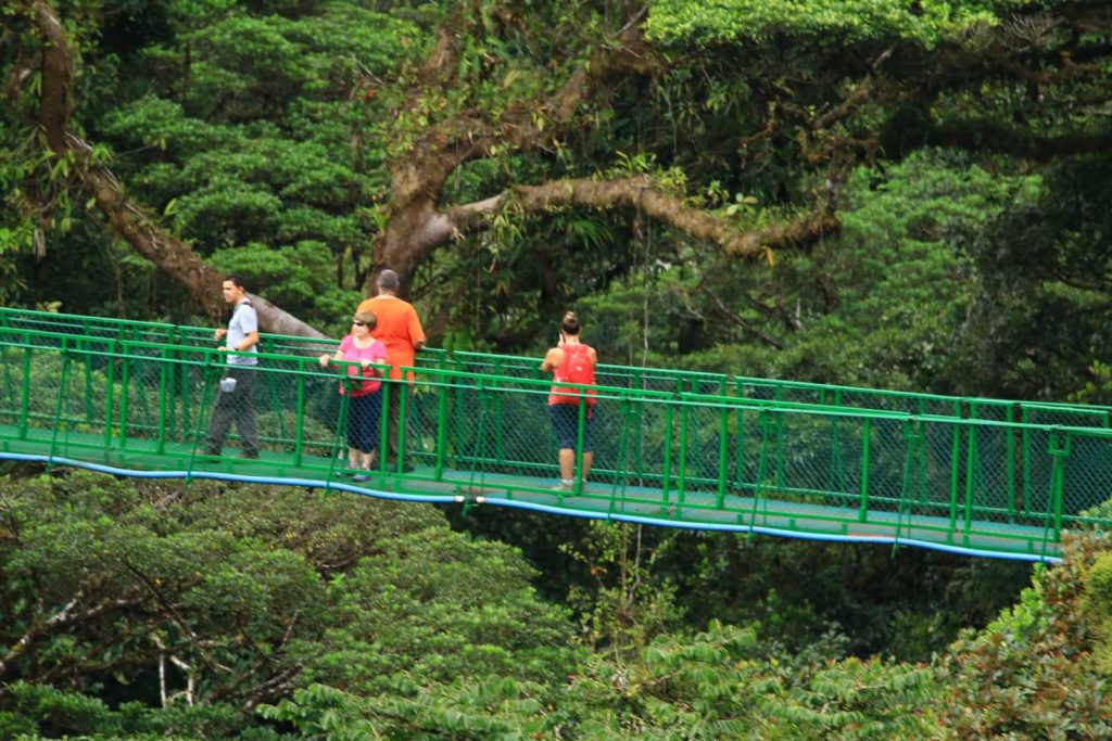 MONTEVERDE RAINFOREST TOUR