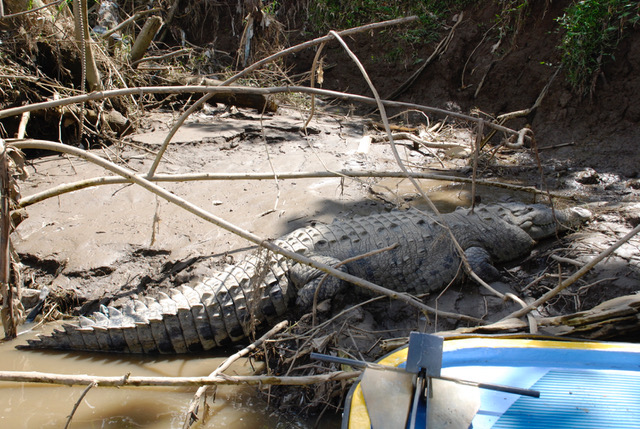 PALO VERDE NATIONAL PARK TOUR