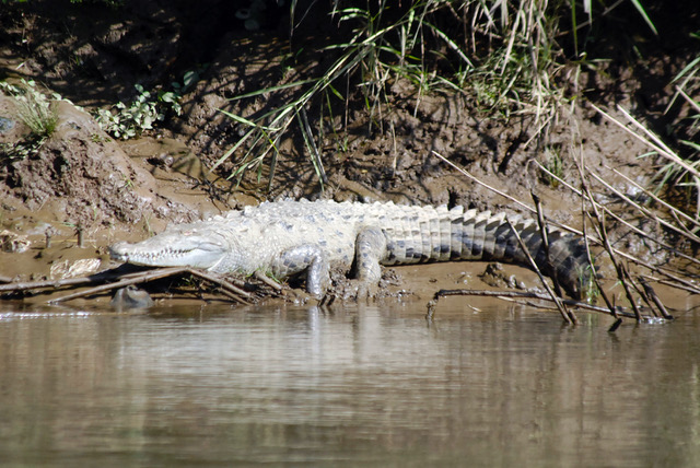 PALO VERDE NATIONAL PARK TOUR