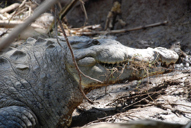 PALO VERDE NATIONAL PARK TOUR