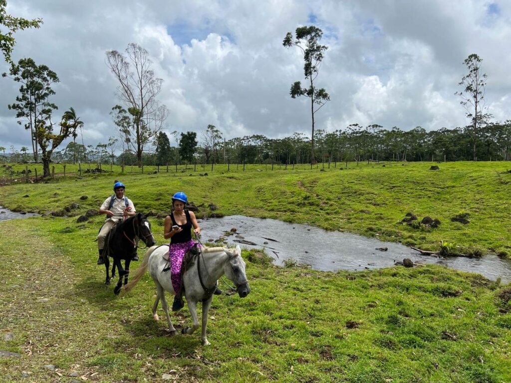 ONE DAY FINCA TOUR