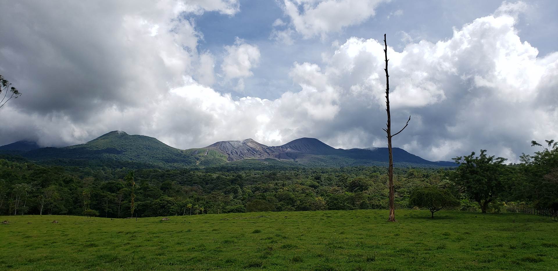 Why you should go on an adventure to Palo Verde National Park Costa Rica?